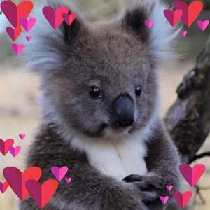 Meet your Posher, Karla